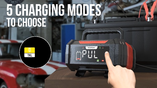 Amazon.com: NEXPEAK 15A Battery Charger, Trickle Charger 12V/24V